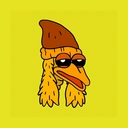 BirdDog logo